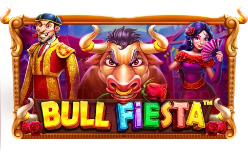 Bull Fiesta