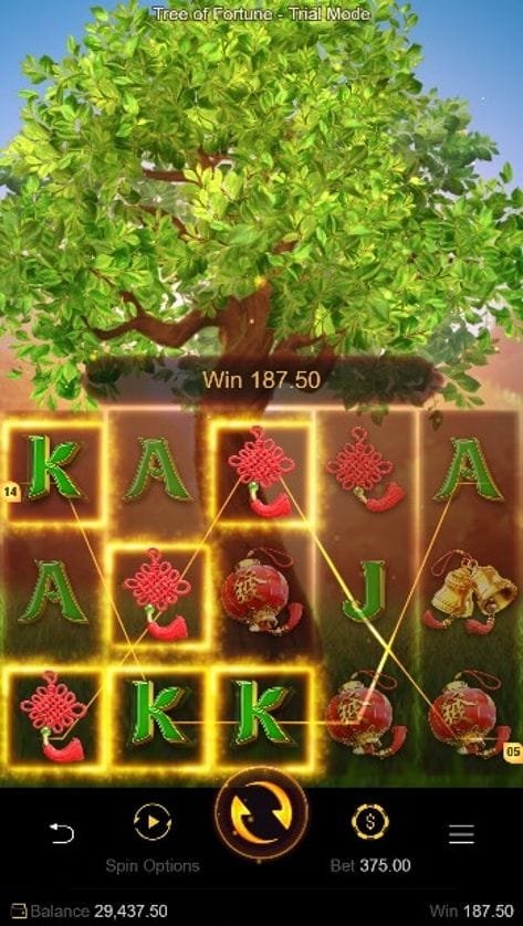 รีวิว Tree Of Fortune