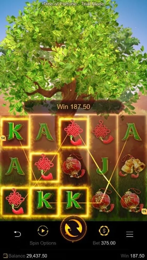 รีวิว Tree Of Fortune