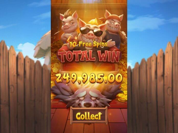 three crazy piggies สล็อต pg